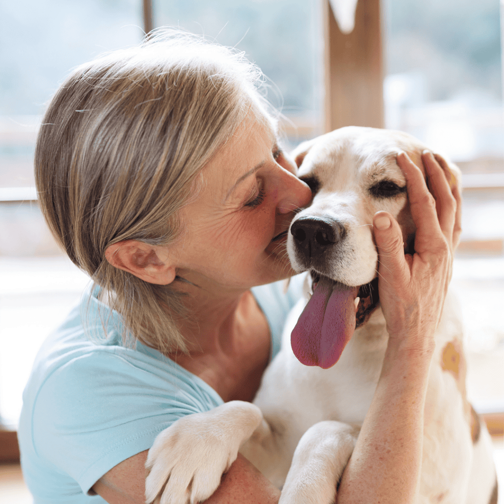 Pure Love Pet Sitting of West Cary, Morrisville, and Cary, NC